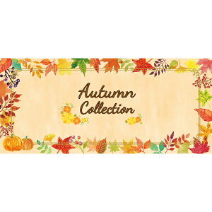 �y�H�z�f�B�X�v���C�V�[�g�q�I�[�^���R���N�V�����rH87×L200cm�@/�@�H �� �X������ �C���e���A �f�R���[�V���� �̑� POP �f�B�X�v���C ����