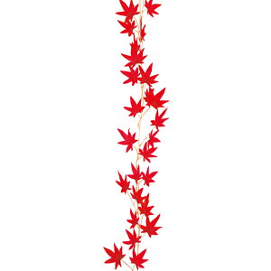 yHz݂K[hbhL180cm@/@H gt  POP  ̑ Cxg