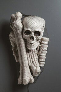 ynEBz{[12pcsZbg@/@nEB pvL  POP  ̑ Cxg 