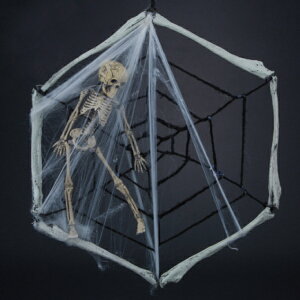 ynEBz{[[XiXpC_[EFuj H46×W45×D5cm / Xܑ fBXvC KCRc w偂̑ z[  V 