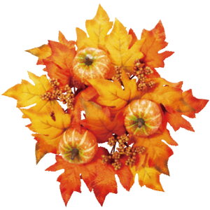 ynEBzpvL[X 26cm / ڂ Xܑ fBXvC fR[V  Cxg CeA ̑