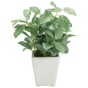 ylHϗtAz~j|bgtBbgjA@20cm@/@tFCNO[@lHϗtA@CeA@ȒP@sv@Vv@@ItBXCeA@Xܑ