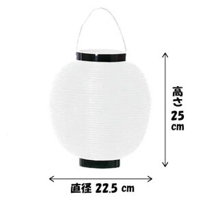 y񓔁z| F  2H25×W22.5cm /傤 Ղ Cxg X    ~x čՂ 