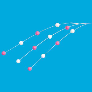 yz݉ԃXvC L58cmEʃ2.4cm 10{Zbg /   Xܑ fBXvC ̑ POP CeA fR[V  Cxg