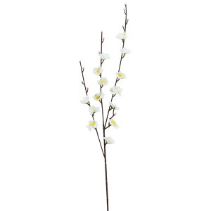 yz~}  L57cmEԃ3cm /   Xܑ fBXvC ̑ POP CeA fR[V  Cxg