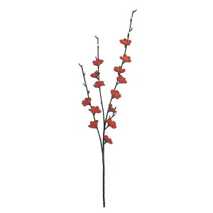 yz~}  L57cmEԃ3cm /   Xܑ fBXvC ̑ POP CeA fR[V  Cxg