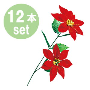 yNX}Xzxxbg |CZ`A XvC L55cmEԃ15cm 12{Zbg / ~ Xܑ ̑ CeA fR[V t  tFCN fBXvC Cxg