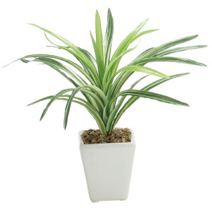 ylHϗtAz~j|bghZi@22cm@/@tFCNO[@lHϗtA@CeA@ȒP@sv@Vv@@ItBXCeA@Xܑ