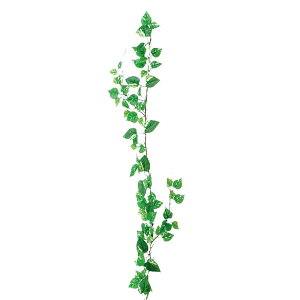 ytFCNO[z@~j[t K[h |gX@175cm@/@tFCNO[@CeA@ȒP@sv@Vv@@ItBXCeA@Xܑ