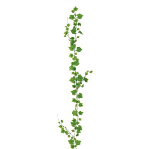 ytFCNO[z@~j[t K[h O[v[t @175cm@/@tFCNO[@CeA@ȒP@sv@Vv@@ItBXCeA@X