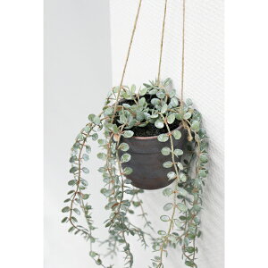 ylHϗtAz~j[t|bg@70cm@/@tFCNO[@lHϗtA@CeA@ȒP@sv@Vv@@ItBXCeA@Xܑ