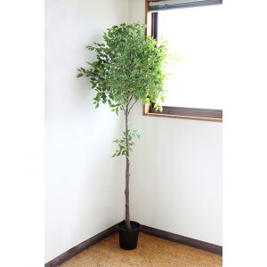 ylHϗtAztBJX@180cm@/@tFCNO[@lHϗtA@CeA@ȒP@sv@Vv@@ItBXCeA@Xܑ