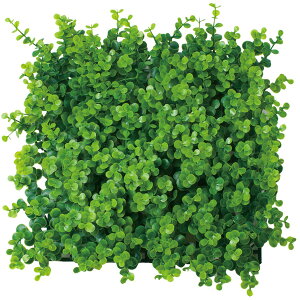 yXNGAO[}bg [Jz Ǌ| tFCNO[  ItBX   CeA fR[V fBXvC  킢 a@ t e@ e iX 