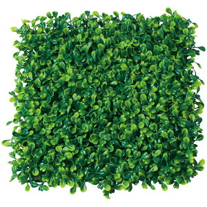  Ǌ| tFCNO[  ItBX   CeA fR[V fBXvC  킢 a@ t e@ e iX JtF Ap Vbv yXNGA