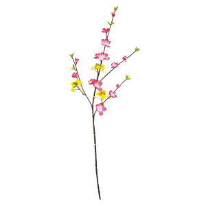 ytz~bNXXvC ؂̉/ L65cmEԃ3`5cm 24{Zbg / t ЂȂ܂  ؂̉ fBXvC  Xܑ ̑ fR[V Cxg