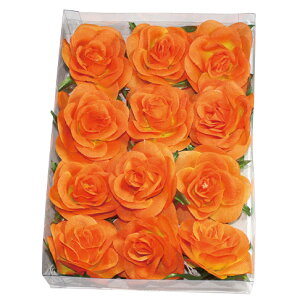 y[Yz[Ywbh IW(12֓) 5cm /  [Y o Xܑ ̑ CeA fR[V t fBXvC Cxg