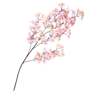 yz}VN 105cm Ԓa4.5cm / t t   fBXvC fR[V X  Ԍ ̎}