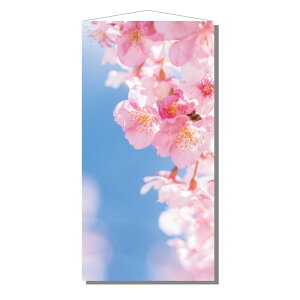 yz^yXg[(h) Ԃт H180×W90cm / t  fBXvC   Xܑ ̑ fR[V Cxg p[eB