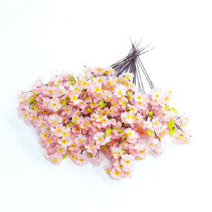 yzXvC VN L60cm ԃ4.5cm 36{Zbg / t t   fBXvC fR[V X  Ԍ ̎}