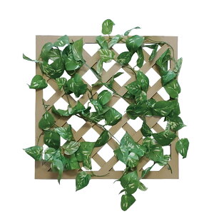 ytzO[eBX |gX gTCYH50×W50cm / t Ǌ| I ݂ Xܑ ̑ ݂葕 fR[V t fBXvC Cxg