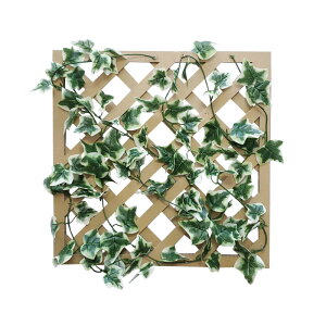 ytzO[eBX I_ACr[ gTCYH50×W50cm / t Ǌ| I ݂ Xܑ ̑ ݂葕 fR[V t fBXvC Cxg