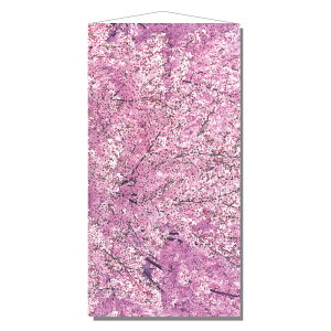 yz^yXg[J̍ H180×W90cm / t  fBXvC   Xܑ ̑ fR[V Cxg p[eB