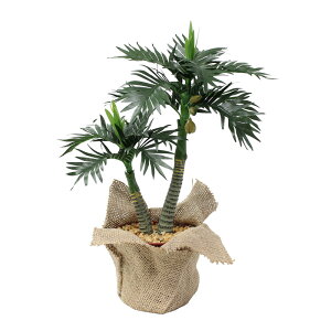 yāz~j|bg V H31cm @/@ VgsJ }  POP  ̑