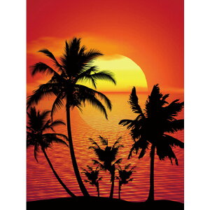 yāzobNXN[V[g TZbg H240cmEW175cm@/@ VgsJ }  POP  ̑