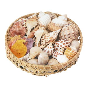 yāzCeAVF500g@/@ Xܑ } gsJ fBXvC fR[V  ̑ Lk C l