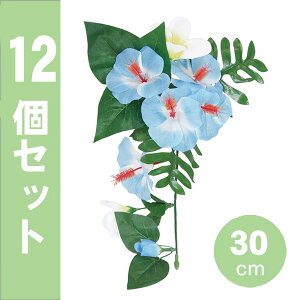 yāznMOnCrXJXvA u[ L30cm12Zbg@/@ nCrXJX vA gsJ  POP  ̑