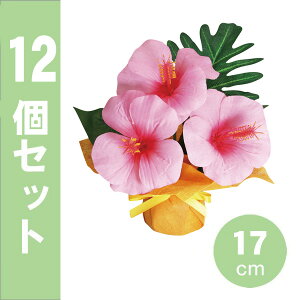 yāz~j~j|bgnCrXJX sN H17cmEW13cm12Zbg@/@ nCrXJX gsJ  POP  ̑