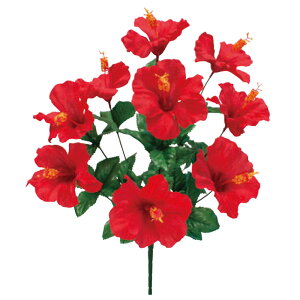 yāznCrXJXubV9{H47cmEW30cmE9cm / nCrXJX gsJ  t Cxg p[eB[  fR[V Î fBXvC