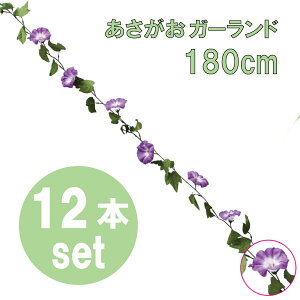 yāzK[h12{ZbgL180cmE9cm / ~J   t Cxg p[eB[  fR[V Î fBXvC