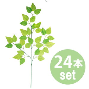 ytzXvCO[[t L70cmEtL7cm 24{Zbg / O[ fBXvC  đ Xܑ ̑ fR[V Cxg p[eB