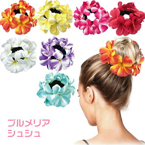 VV - vA - S7FnCA  wAS wA[S wAANZT[  ~ ǂ      ubN sN u[ bh IW p[v CG[ 썑 