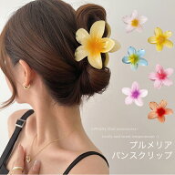 ヘアクリップ / バンスクリップ - プルメリア -