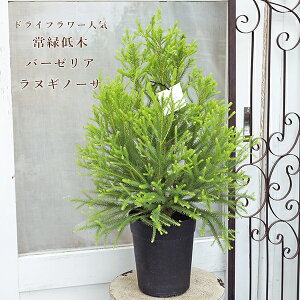 Εc o[[A kMm[T 6 70cm