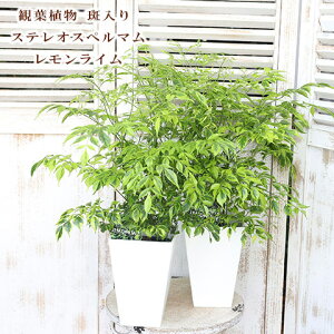 ϗtA  XeIXy} C 6 H65cm