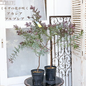 Εc AJVA vvA ~U 6 H90cm