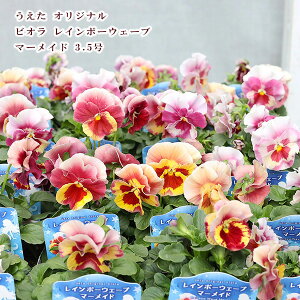 ԕc rI C{[EF[u }[Ch 3.5