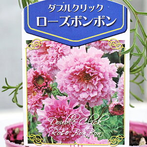 ԕc d炫 RXX _uNbN 3 oCJ[sN Nx[ [Y{{ Xm[pt oCIbg
