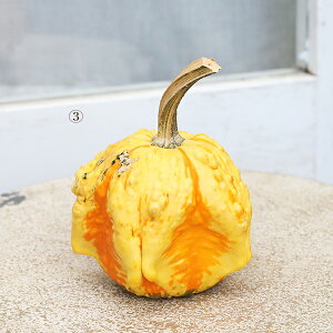 l nEBp  ڂ { pvL J{`  u