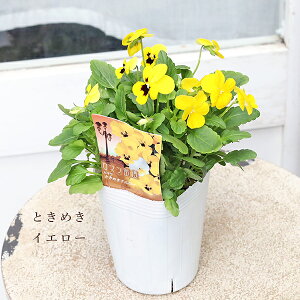 ԕc rI }X sN bh IW CG[ zCg 3.5