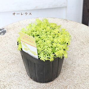 Z_ NbX [^ I[EX hSYubh vrtHE ~U }lOT 3