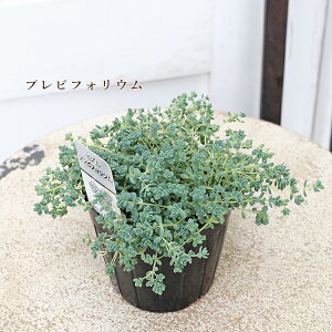 Z_ NbX [^ I[EX hSYubh vrtHE ~U }lOT 3