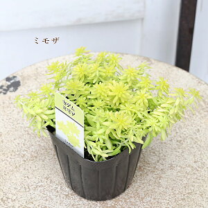 Z_ NbX [^ I[EX hSYubh vrtHE ~U }lOT 3