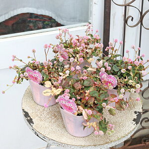 ԕc  |Si sNZu qc\o 3