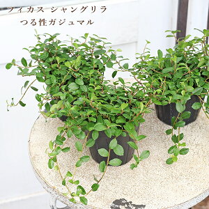 ϗtA tBJX VO 鐫KW} 3