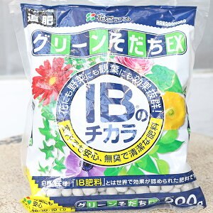 肥料 花ごころ IBのチカラ グリーンそだちEX 500g