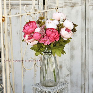 eAG sIj[ubV [YET[sNEp[v A[eBtBVt[